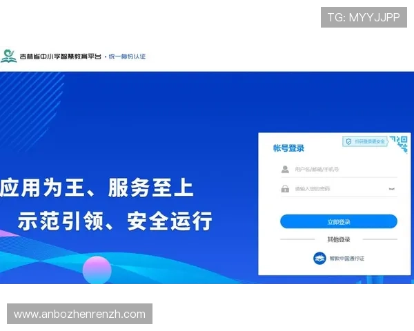 云顶平台的登录入口：多种登录方式及安全保障措施介绍