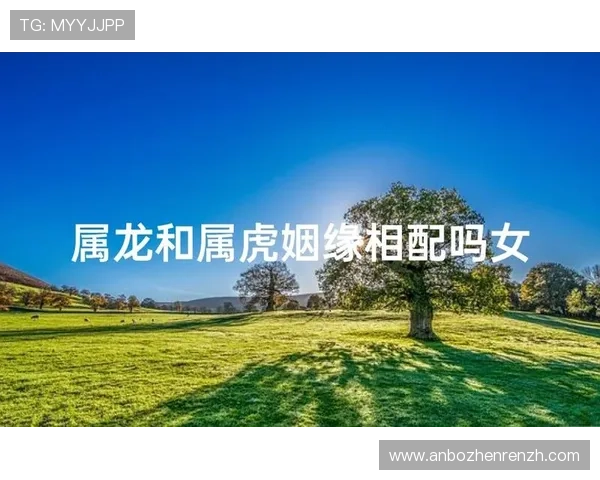 属龙属虎的性格分析：深入解读两者性格差异与相互补充的关系秘诀